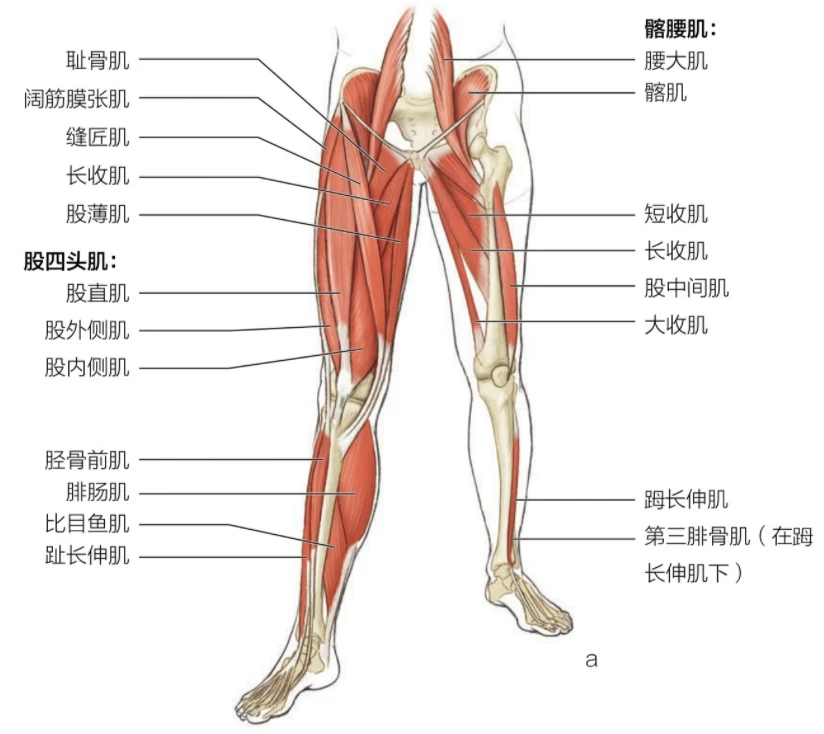 哪里能找到专业的篮球训练与发展计划_2